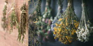 Bundled Magick Healing Herbs